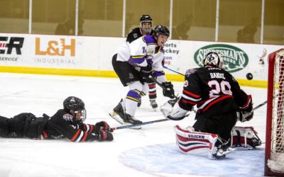 Surging Wild hit the road at struggling Butte Cobras Declan Young leads the Wild through five games with six goals and three assists